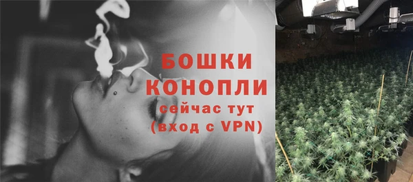 спиды Липки