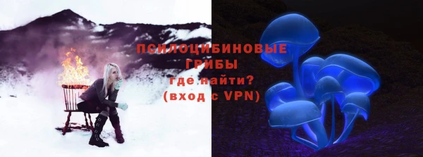 спиды Липки