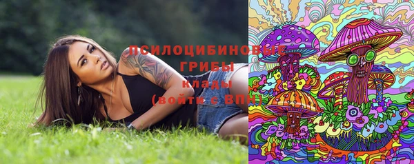 таблы Лиски