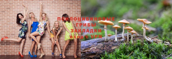 таблы Лиски