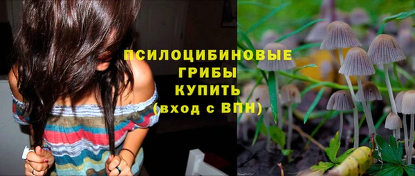 спиды Липки