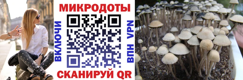 Купить закладки  Рославль  Галлюциногенные грибы Psilocybe 